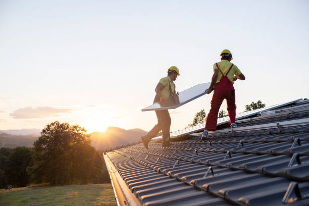 Best Skylight Installation and Repair  in Chatham, VA