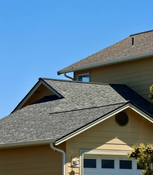 Best Roof Moss and Algae Removal  in Chatham, VA